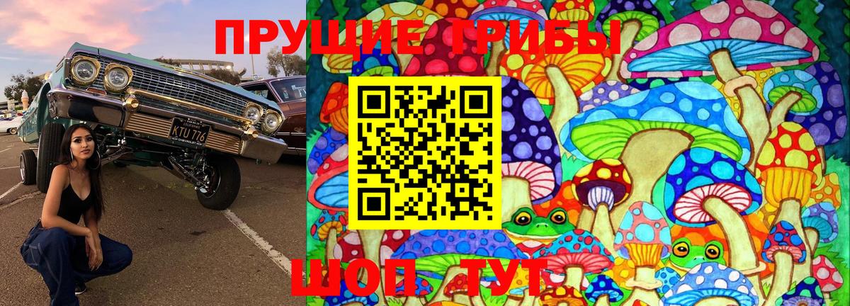 купить закладку  Вход с VPN  Корсаков  Галлюциногенные грибы MAGIC MUSHROOMS 